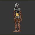 Metallic Robot Character With Silver Copper Body Blue Head And Yellow Abdomen
