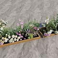 Stunning Floral Display In Wooden Planters With White Pink Purple Flowers And Green Foliage