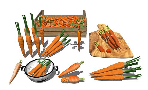 Modern carrots 3d model