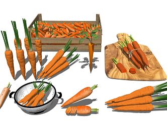 Modern carrots 3d model