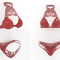Fashionable Red Lingerie Set with Intricate Lace Bra and Panties Design