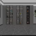 Modern Decorative Ornament Combination in Glass Display Cabinets with Lighting and Green Plant