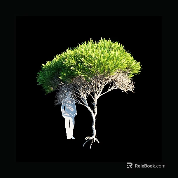 Arbor With Lush Green Foliage Tree Trunk Exposed Roots And Silhouette Figure 3d model 