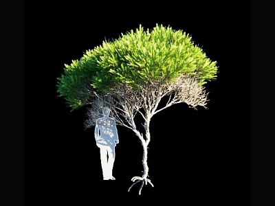 Arbor With Lush Green Foliage Tree Trunk Exposed Roots And Silhouette Figure 3d model