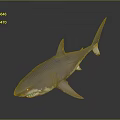 Realistic Gray Shark 3D Model With Open Mouth Sharp Teeth And Swimming Pose 3d model