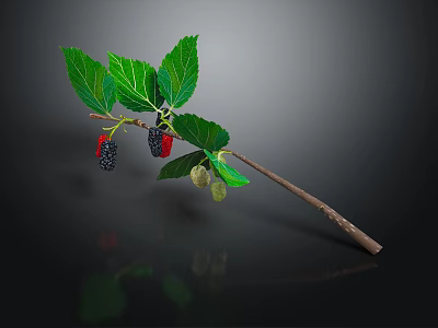 Fresh Natural Branch With Green Leaves And Black Red Green Mulberries 3d model