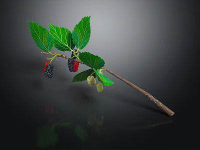 Fresh Natural Branch With Green Leaves And Black Red Green Mulberries 3d model