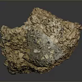 Natural Wood Stone Material With Porous Textured Surface And Earthy Tones