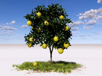 Lush Fruit Bearing Arbor With Yellow Fruits Green Grass Blue Sky And White Clouds 3d model