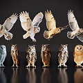 Various Owls in Flying and Standing Poses with Different Colors on Dark Background