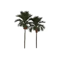 Decorative Ornament Set with Palm Trees Green Leaves and Red Fruits
