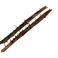 Stone Wood Natural Branches with Bark Thorns and Moss Rustic Organic Material 3d model