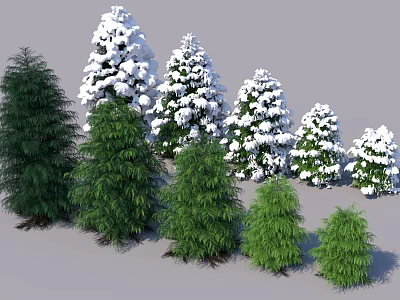 Various Green And Snow Covered Shrubs With Different Sizes And Natural Foliage 3d model