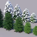 Various Green And Snow Covered Shrubs With Different Sizes And Natural Foliage