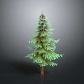 Lush Green Pine Tree With Brown Trunk In Dark Background 3d model