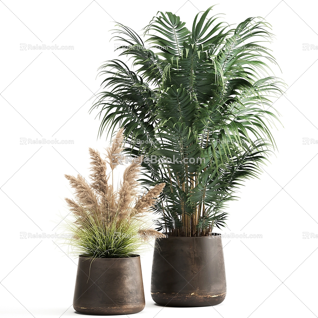 Plant Potted Plant Combination Plant Flower Pot Flower Tank Potted Green Plant Bonsai Flower Grass model