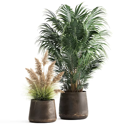 Indoor Decorative Bonsai Potted Plants With Tropical Palm And Ornamental Grass In Ceramic Pots 3d model