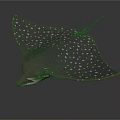 Spotted Stingray With Brown Body And White Dots Swimming Underwater