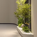 Elegant Bonsai Plants In Long Planter With Small Stones And Low Shrubs Near Light-Colored Walls