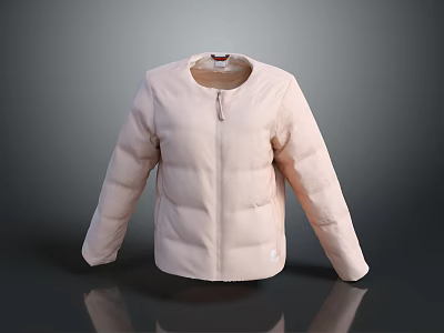 Pink Puffer Jacket With Front Zipper And Sleek Design For Casual Wear 3d model