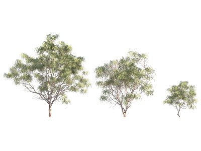 willow vegetation combination 3d model