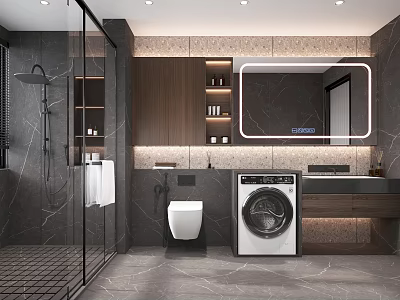 Modern Bathroom Interior Design With Glass Shower Toilet Washing Machine And Large Mirror 3d model