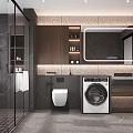 Modern Bathroom Interior Design With Glass Shower Toilet Washing Machine And Large Mirror