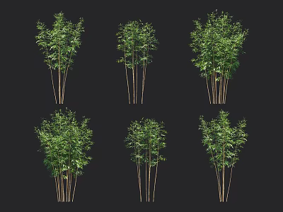 Various Bamboo Plants With Green Foliage 3d model