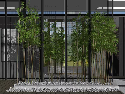 Tall Bamboo Plants in Modern Interior Space With Decorative Pebbles and Glass Wall Backdrop 3d model