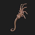 Detailed Brown Scorpion 3D Model With Segmented Body And Curved Tail