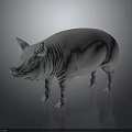 White Standing Pig 3D Model with Detailed Ears on Dark Reflective Surface 3d model