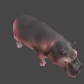 Realistic Black Hippopotamus Standing In Natural Green And Yellow Background