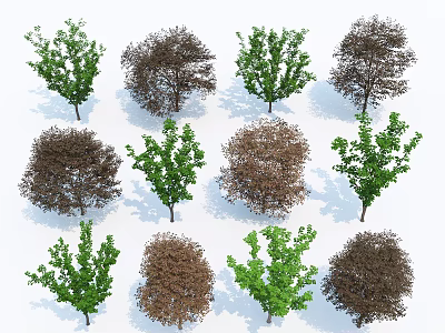 Various Arbor Trees With Green And Brown Foliage In Different Growth Stages 3d model