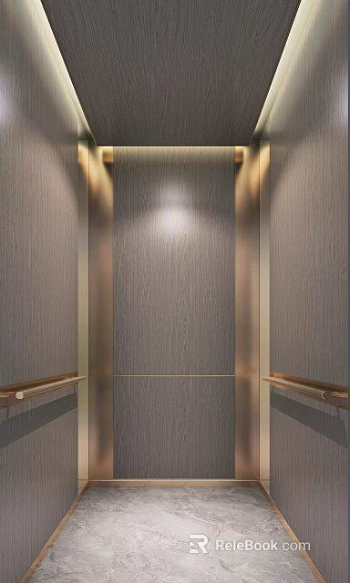 Elegant Modern Elevator Interior With Wooden Panels Gold Accents And Lighting 3d model 