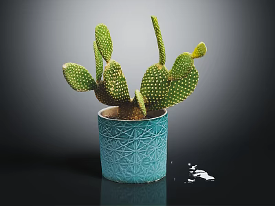 Green Cactus Plant with Prickly Pads in Blue Textured Ceramic Pot Placed on Dark Background 3d model