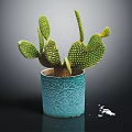 Green Cactus Plant with Prickly Pads in Blue Textured Ceramic Pot Placed on Dark Background