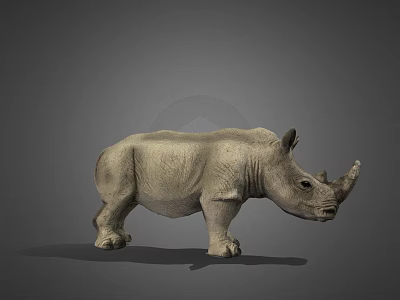 Highly Detailed 3D Rhinoceros Model With Realistic Texture And Gray Background 3d model