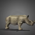 Highly Detailed 3D Rhinoceros Model With Realistic Texture And Gray Background