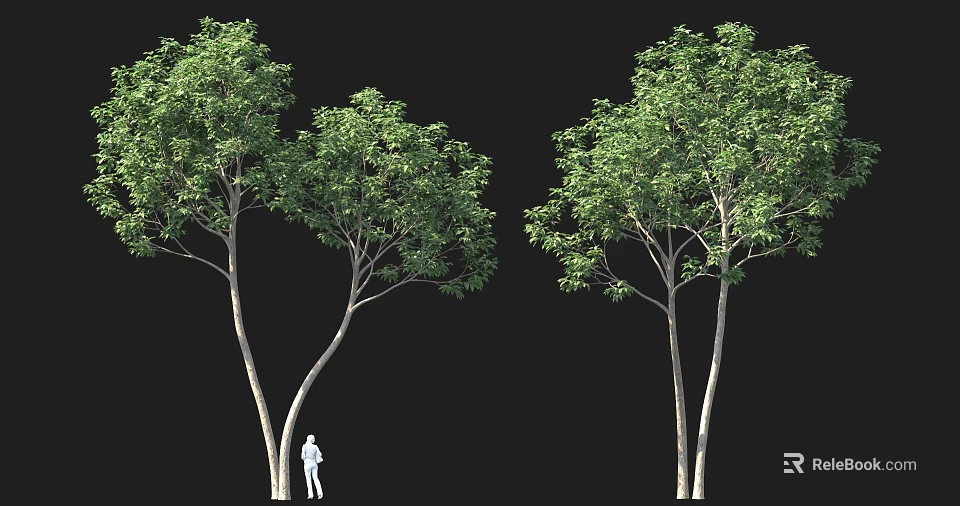Tall Green Leafy Trees Against Black Background With Small White Figure 3d model