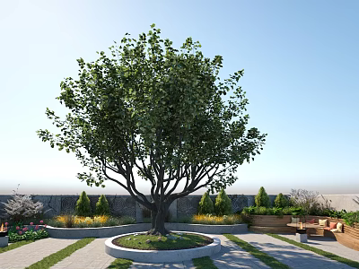 Courtyard Garden Design With Large Shade Tree Circular Planter Green Lawn And Seating Area 3d model