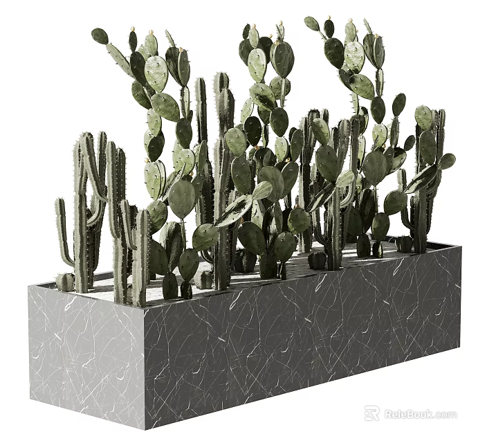 Modern Cactus Succulent Potted Plants In Gray Marble Rectangular Container 3d model 