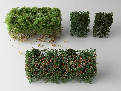 Different Types of Garden Shrubs with Green Foliage and Orange Fruits for Landscape Design 3d model