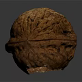 Whole Natural Walnut With Brown Textured Shell On Dark Background