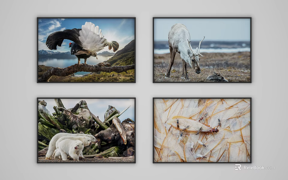 Animal Paintings As Wall Art Featuring Wildlife Natural Scenes For Home Decor 3d model 