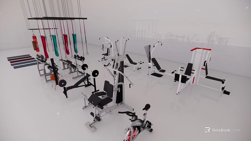 Fitness Gym With Hanging Ropes Workout Machines And Strength Training Equipment 3d model 