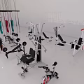 Fitness Gym With Hanging Ropes Workout Machines And Strength Training Equipment