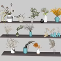 Elegant Vases With Dried Flowers And Green Leaves On Multiple Shelves For Interior Decor