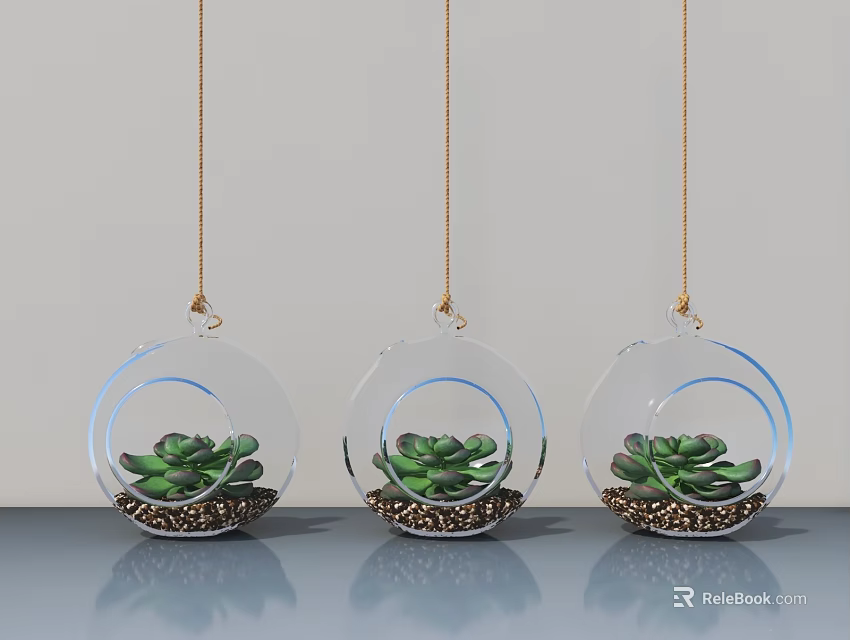 Three Transparent Glass Hanging Planters With Succulents And Golden Base Decoration 3d model 