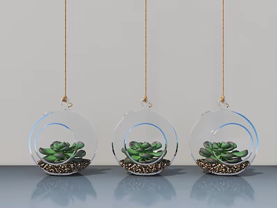 Three Transparent Glass Hanging Planters With Succulents And Golden Base Decoration 3d model