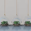 Three Transparent Glass Hanging Planters With Succulents And Golden Base Decoration